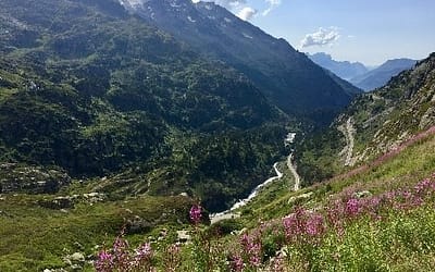 “Rock the Alps” Tour 07.08.2021- 17.08.2021